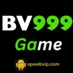 BV999